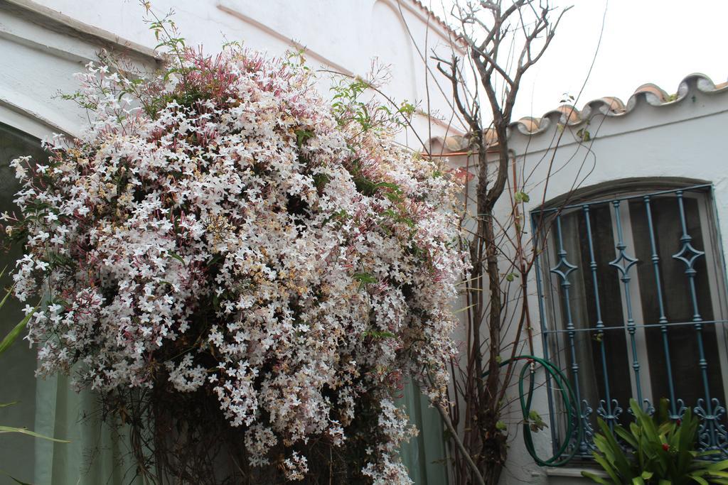 Casa Colonia La Linea de la Concepcion Exterior foto